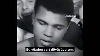 Kral Muhammed Ali