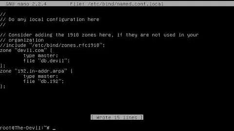 Setting DNS Server - Debian 6 Squeeze