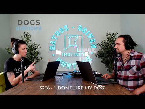 Video: Pet Scoop: Pes nalezen v 15-noha díra nadšený vidět majitele, vepřové Excels v poslušnosti psa
