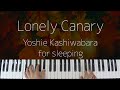 Lonely Canary / Yoshie Kashiwabara -Sleepy Jazz Piano Lullaby-