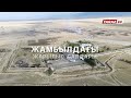 ЖАМБЫЛДАҒЫ ЖАРЫЛЫС САЛДАРЫ