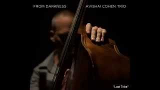 Video thumbnail of "Avishai Cohen - Lost Tribe"
