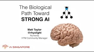 The Biological Path Towards Strong AI by Matt Taylor from Numenta (AI Singapore Meetup)
