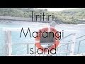 Tiritiri Matangi Island