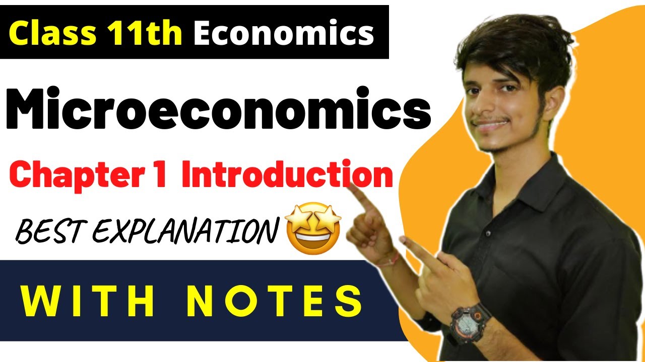 micro economics essay grade 11