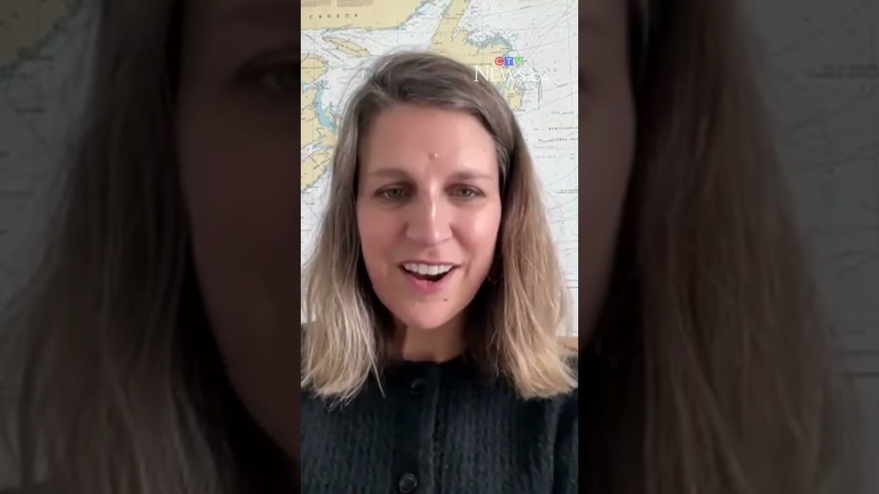 This AI program can spot whales from space