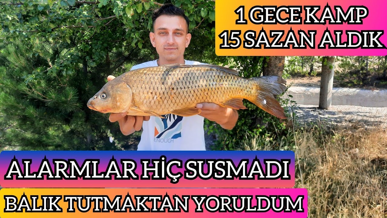 1 GECE KAMP 15 SAZAN ALDIM. BALIK TUTMAKTAN YORULDUM.#sazanavi #carpfishing #fishing #nature #kamp