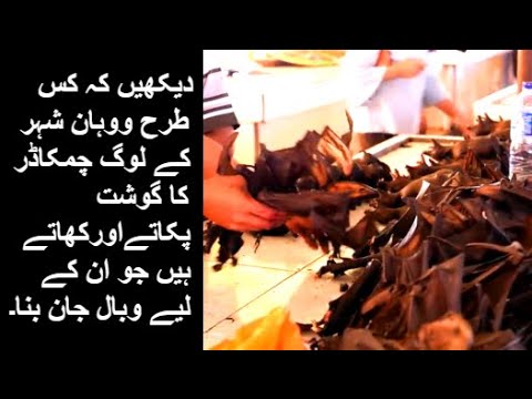 bat-meat-which-causes-corona-virus-|-how-they-cook-and-eat-bat-meat