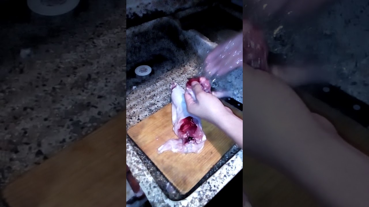 Como Partir un Conejo🐇🐰 en Cortes limpios...