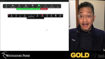 Teaching With ZOOM 2:  The Vanishing Pen