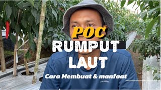 Membuat POC Genaratif Dari Rumput Laut
