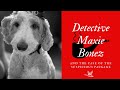 Detective Maxie Bonez  and The Case of the Suspicious Package
