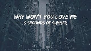 5 Seconds Of Summer - Why Won&#39;t You Love Me (Lyrics Video)