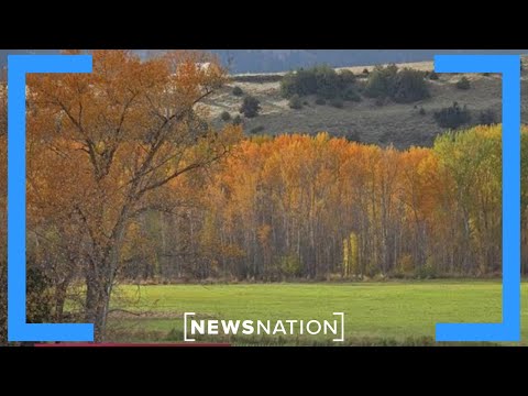 Rural Oregon counties