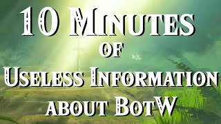 10 Minutes of Useless Information about BotW by The Tony Express 294,835 views 1 year ago 10 minutes, 35 seconds