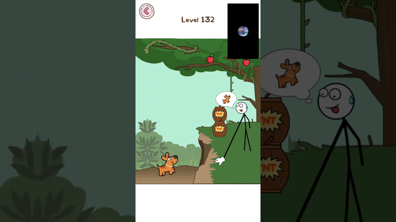 Thief Puzzle games level 132