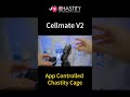 MChastity Cellmate V2 App Controlled Chastity Cage mp3