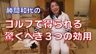 ゴルフで得られる驚くべき３つの効用。運動依存になる、社交性が高まる、死ぬまで自力で歩ける脚力がつく