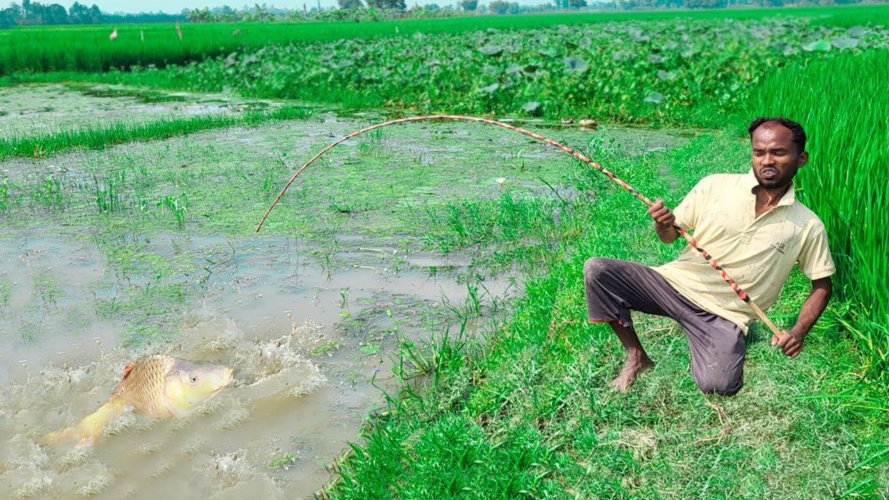 Fishing Video I was really impressed to see such a beautiful fishing