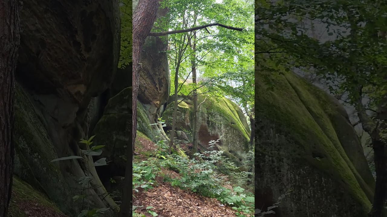 Nature Reserve "Prządki" 