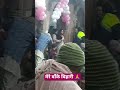 Saware shyam | aisi adbhut tumhari chavi hai prabhu | साँवरे श्याम #shorts #shortsfeed #bankebihari