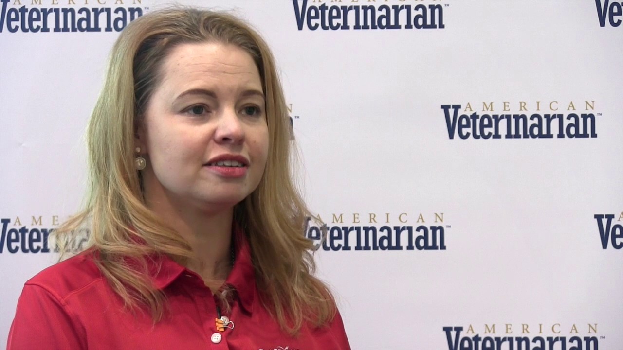 What Can Vet Students Do for the Animal Welfare Community?