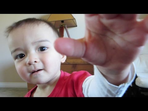 Where The Heck Have I Been??? (an update about changing priorities)