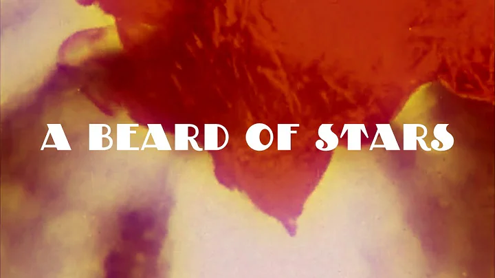 A Beard Of Stars (Tyrannosaurus Rex Full Album Cov...