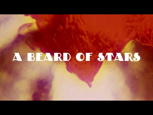 Tyrannosaurus Rex - A Beard Of Stars (Full Album Cover) by