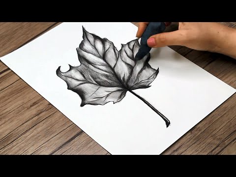 Pencil Drawing And Shading Realistic Water Drops On A Leaf - YouTube