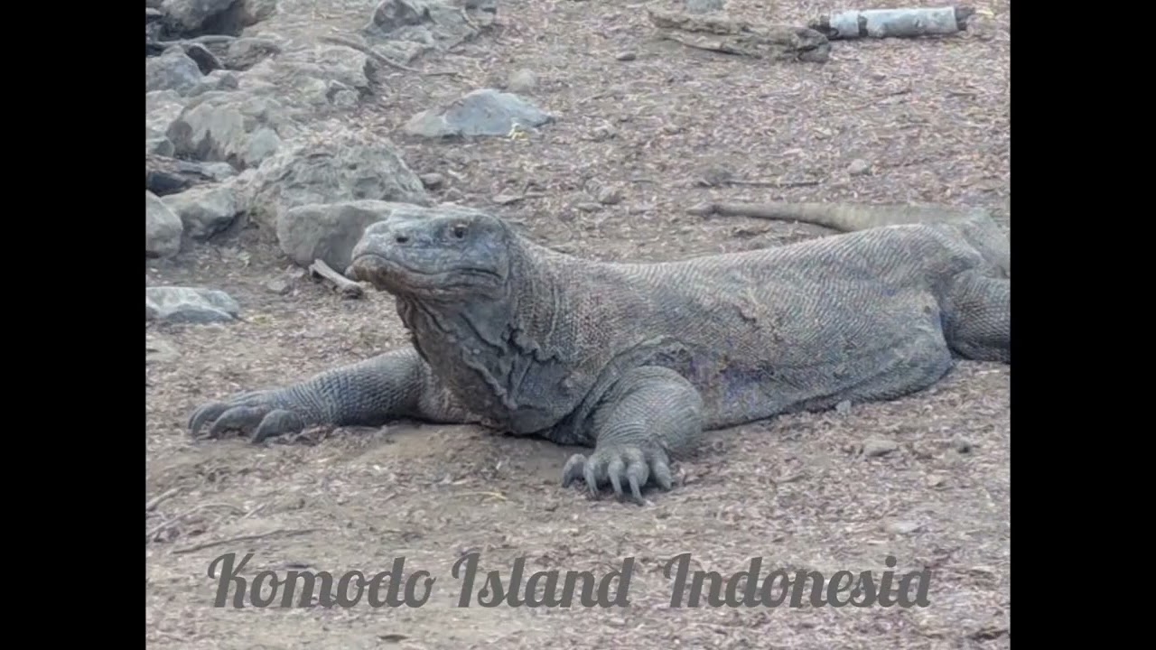 "Quietly Powerful" "Nature Wins"