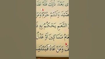 سورة المائدة الأية 95 القارئ سعد الغامدي