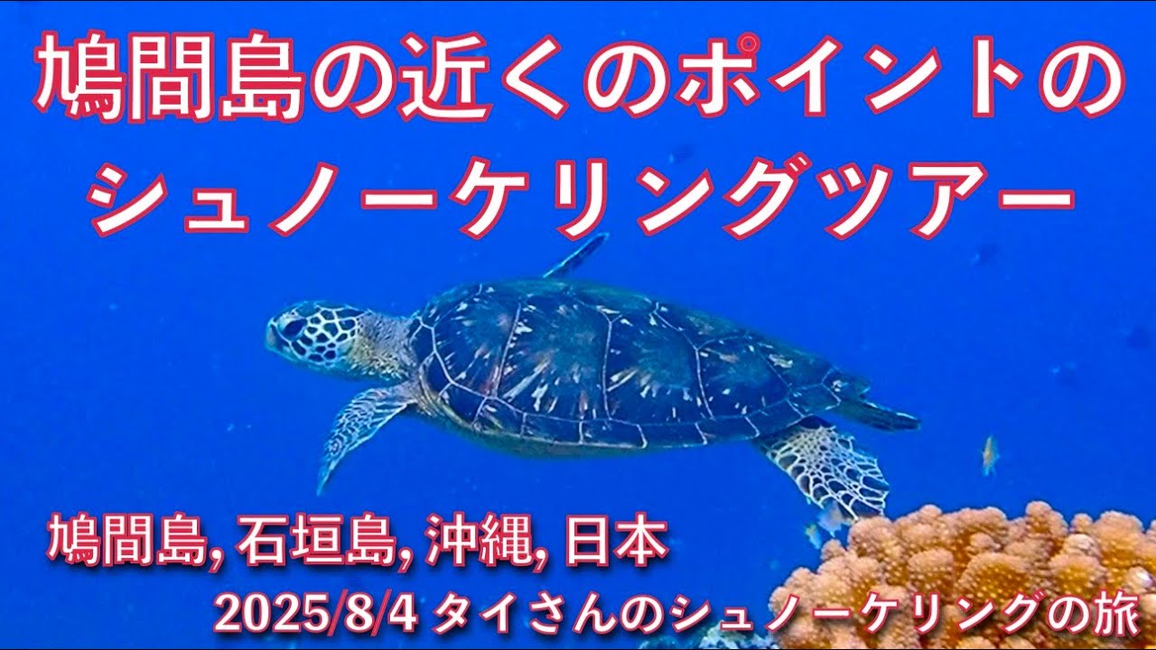 【#158 タイさんのシュノーケリングの旅 】鳩間島の近くでシュノーケリングツアー, Tai’s Journey