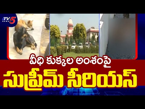 Supreme Court Serious On Street Dogs Issue | Children Safety || TV5 News - TV5NEWS