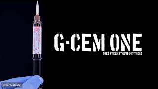 Dr. Miles Cone speaks on G-CEM ONE™ (Part 1)