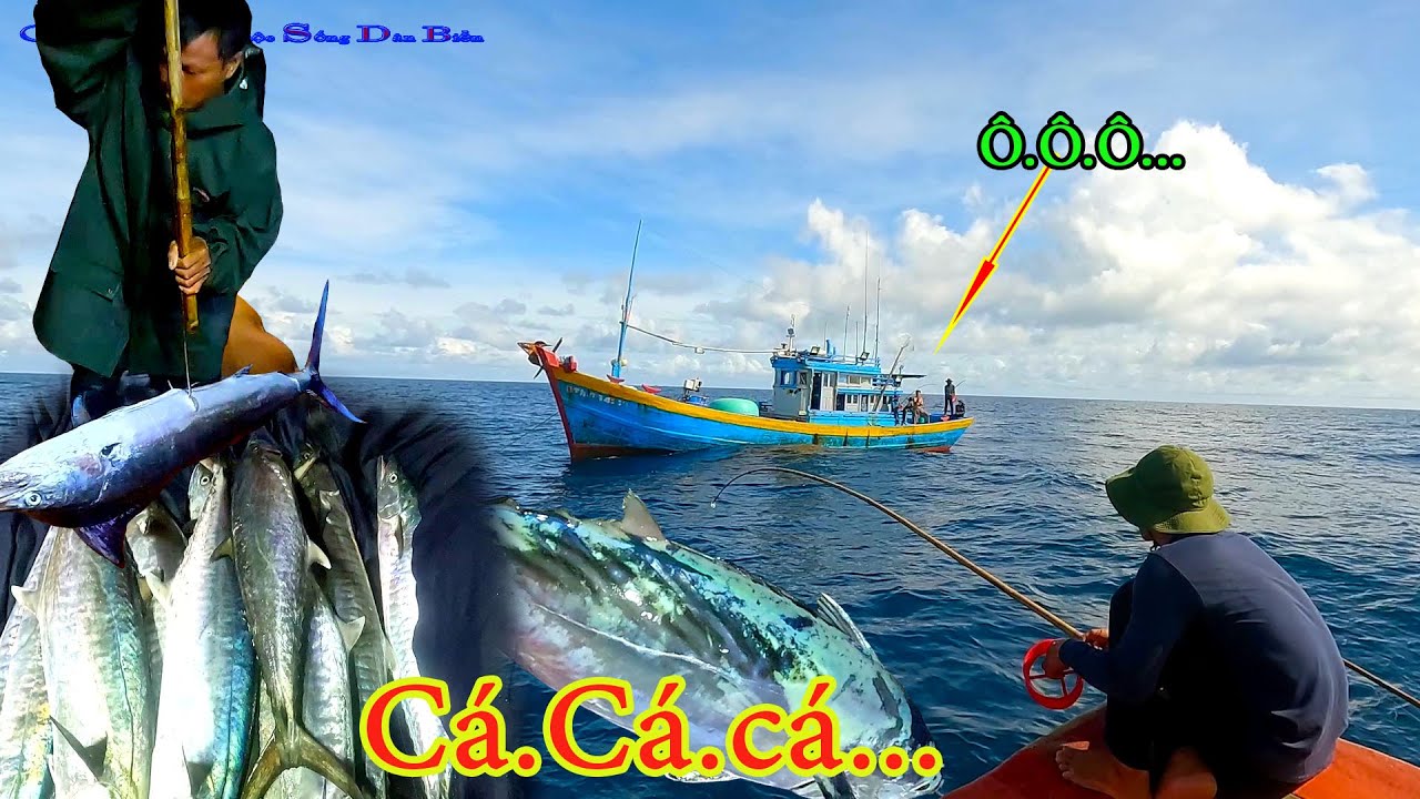CÂU TAY 11║Một Đêm Trúng Cá,Nhưng AE Lạy Làng Vì Mưa Gió,Mất Câu.