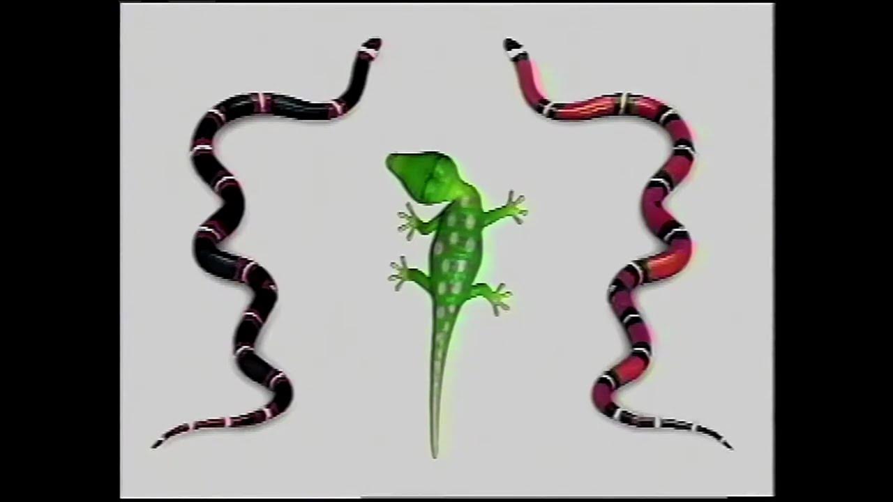 Henry's Amazing Animals Season 1 Episode 12 Poisonous animals July 2