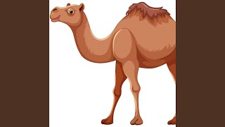 Download Lagu Baflamic Bindir MP3