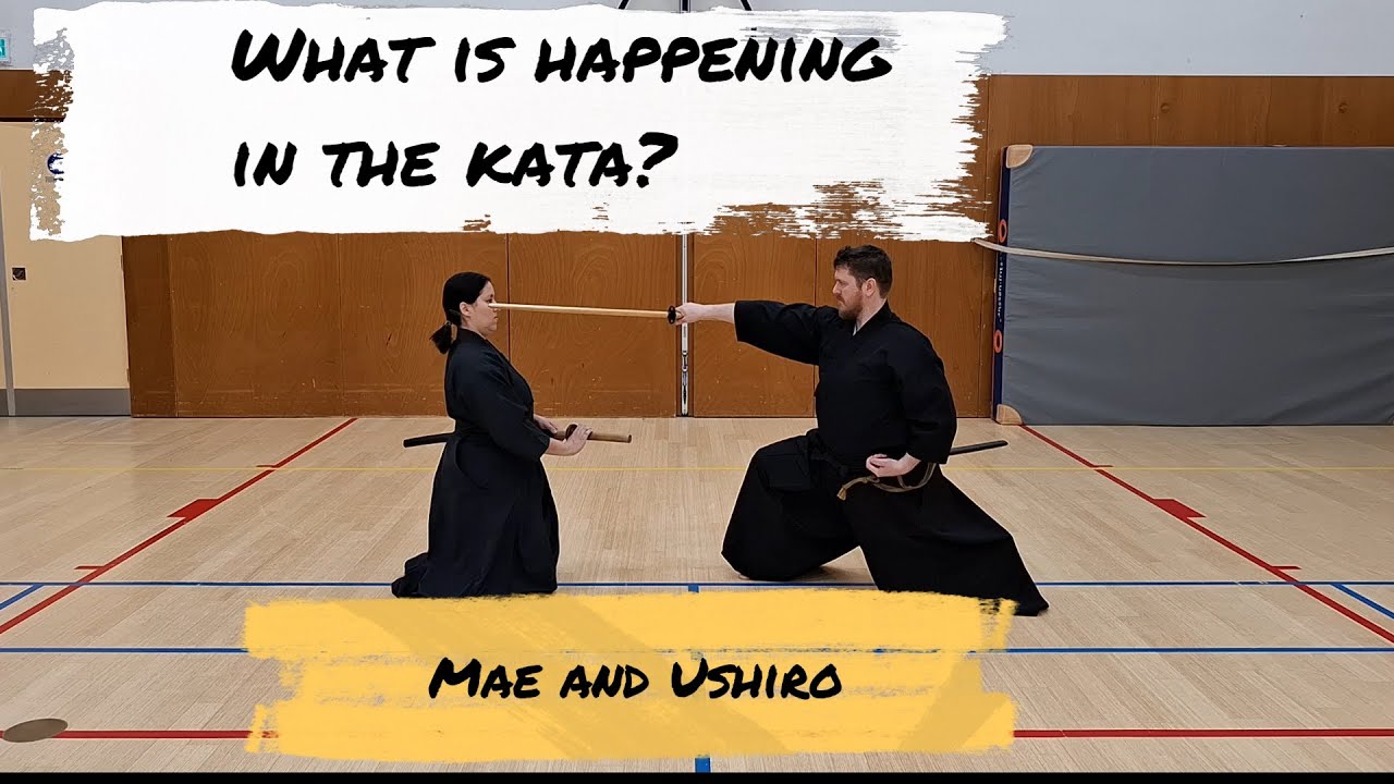 Iaido: What is happening in znkr Mae and Ushiro