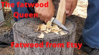 Shlisa Shell The Fatwood Queen Testing fatwood from Etsy | Burning some high octane Michigan fatwwod