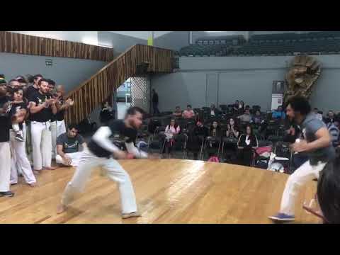 camera iphone 8 plus apk Jogo con profesor conde