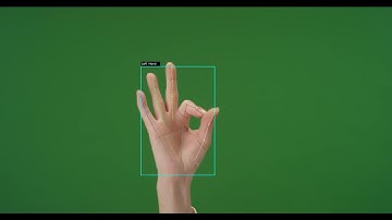 Mediapipe Hand Landmarks Detection