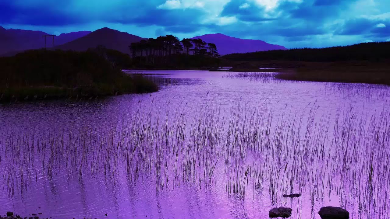 Download Fourtwnty Zona Nyaman 7 Mb Lagutrending