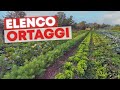 Hai ANCORA 15 giorni per trapiantare L'ORTO INVERNALE