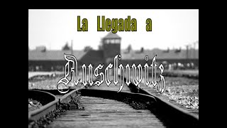 La Llegada De Los Prisioneros A Auschwitz