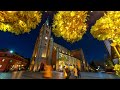 크리스마스의 명동성당 | 저작권 무료 영상 | 8k