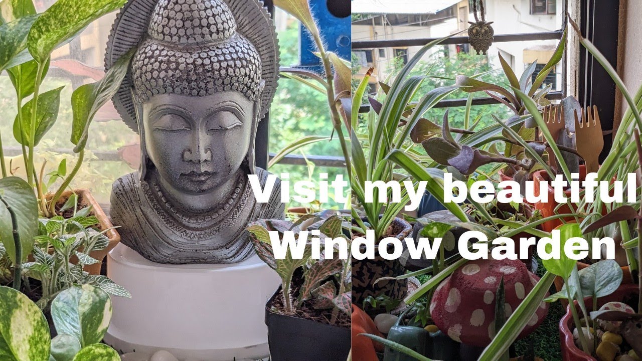 to my small window garden window garden tour gardening