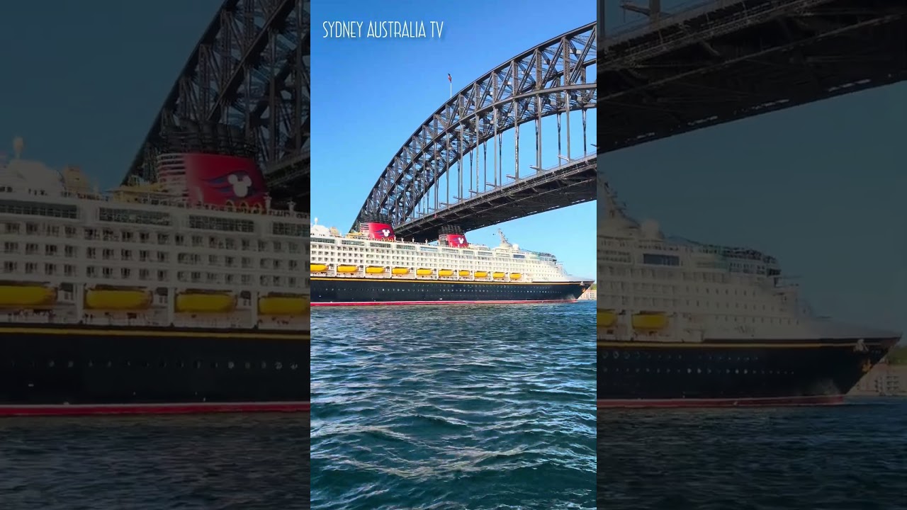 DISNEY WONDER SHIP PASSING UNDER SYDNEY HARBOUR BRIDGE  🇦🇺SYDNEY AUSTRALIA 2024 #sydney #australia