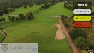 Brookdale Golf Club Hole 6