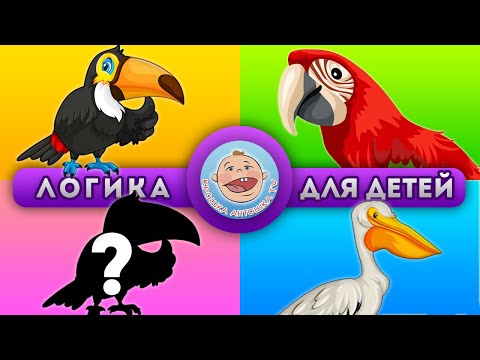 Развивающие тесты - Задачки и Викторины : Птицы - Логика для детей